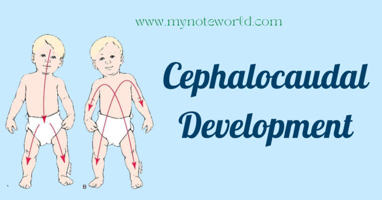 what is Cephalocaudal Development example